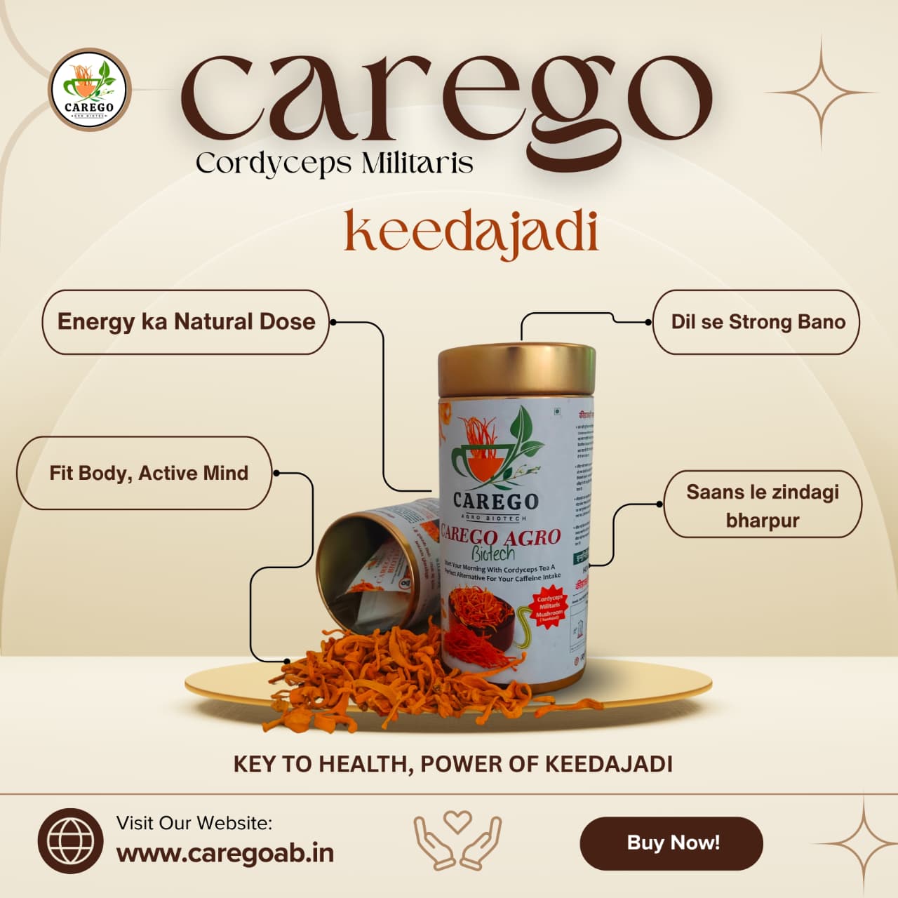 Carego Agro Biotech Keedajadi | Keedajadi Cordyceps Militaris